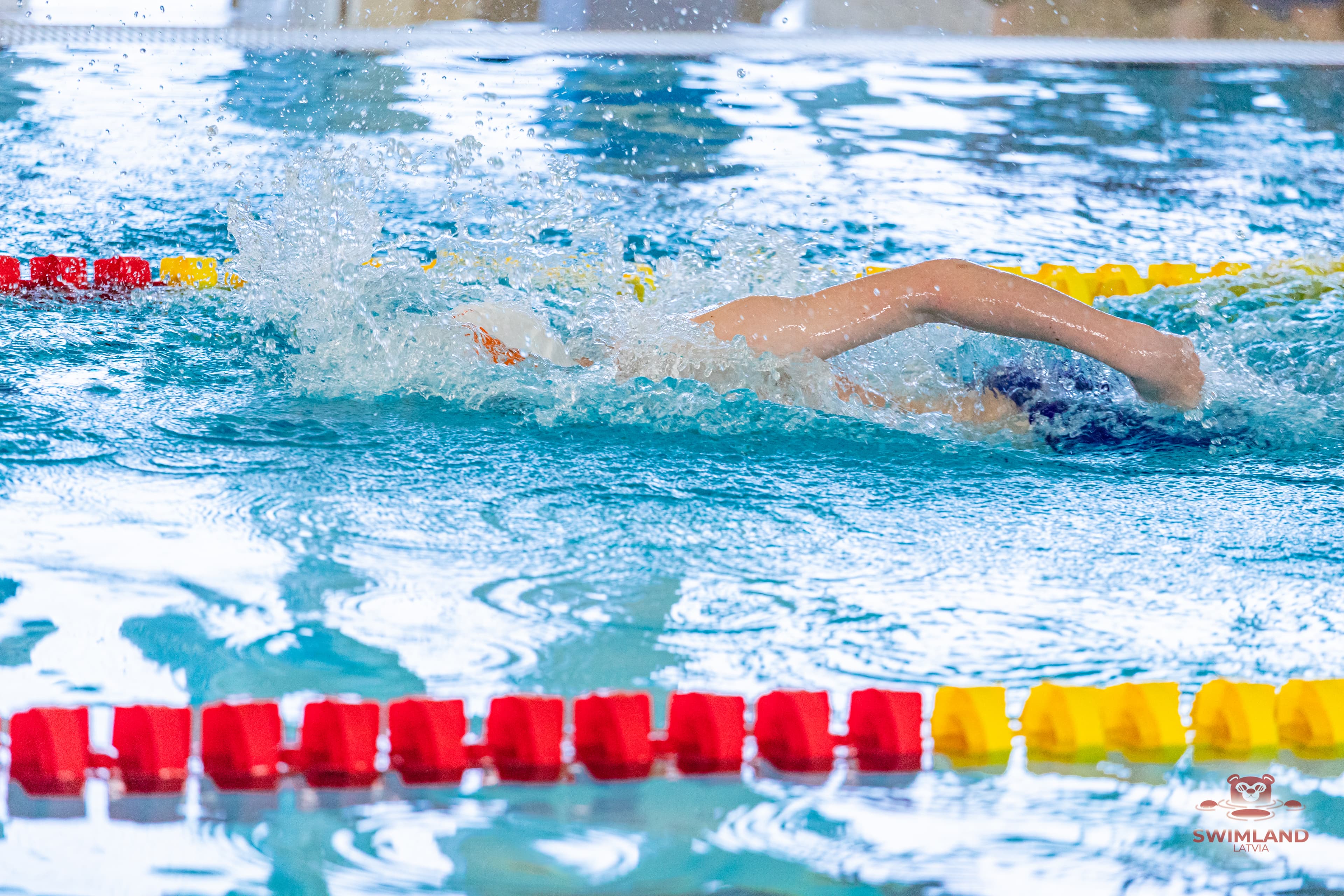 Swimmer Diving